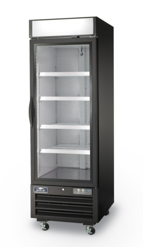 AFGDM23 Freezer Merchandiser